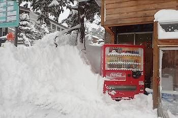 Hakuba Cortina Backpackers Hotel Otari Exterior photo
